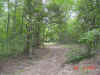 DSC00150.JPG (46568 bytes)